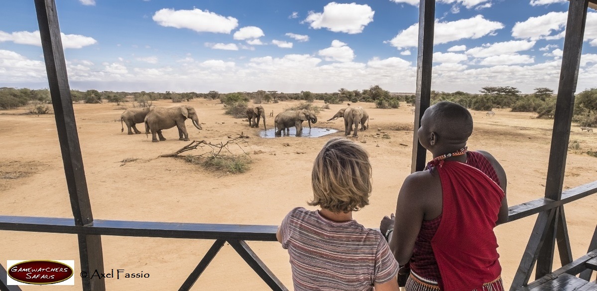 Tourism & Safari